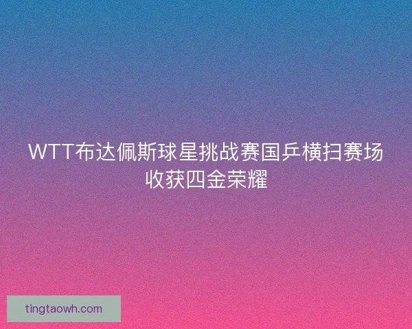 WTT布达佩斯球星挑战赛国乒横扫赛场收获四金荣耀
