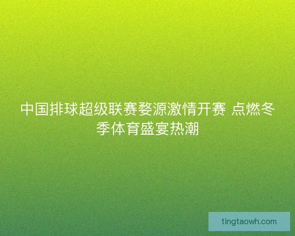 中国排球超级联赛婺源激情开赛 点燃冬季体育盛宴热潮 中国排球超级联赛婺源激情开赛 点燃冬季体育盛宴热潮