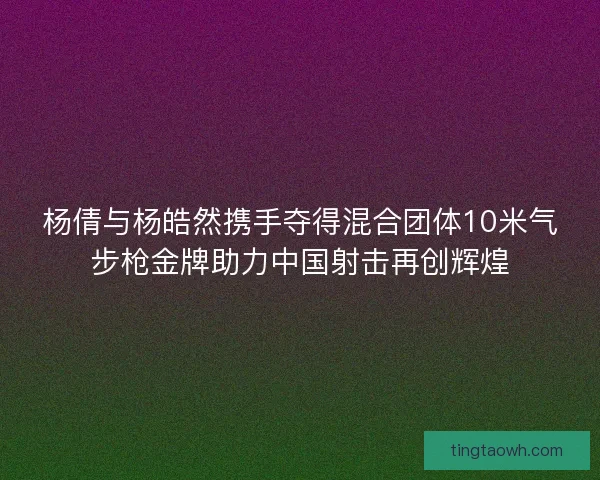 杨倩与杨皓然携手夺得混合团体10米气步枪金牌助力中国射击再创辉煌