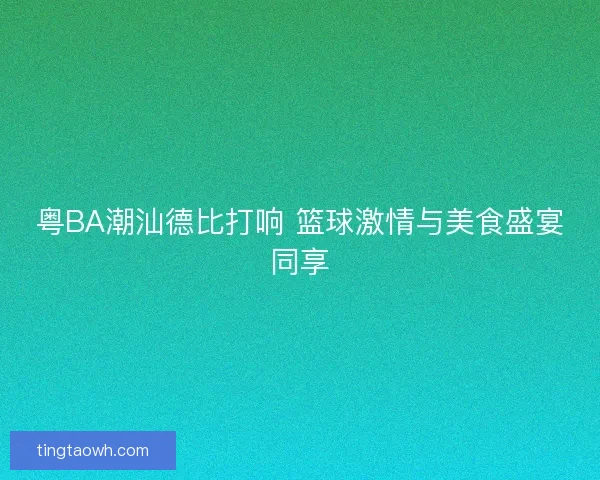 粤BA潮汕德比打响 篮球激情与美食盛宴同享 粤BA潮汕德比打响 篮球激情与美食盛宴同享