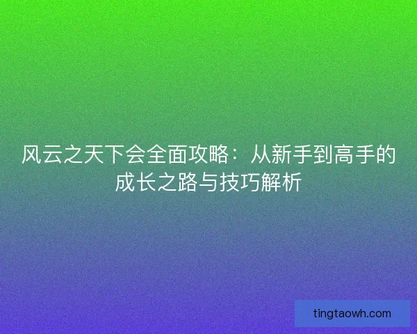 风云之天下会全面攻略:从新手到高手的成长之路与技巧解析 风云之天下会全面攻略:从新手到高手的成长之路与技巧解析