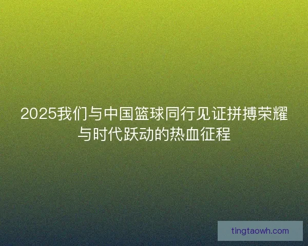 2025我们与中国篮球同行见证拼搏荣耀与时代跃动的热血征程