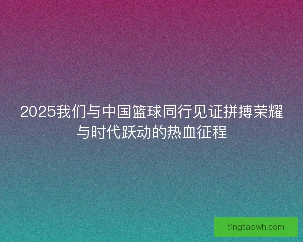 2025我们与中国篮球同行见证拼搏荣耀与时代跃动的热血征程