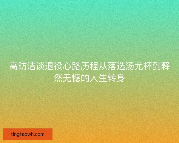 高昉洁谈退役心路历程从落选汤尤杯到释然无憾的人生转身