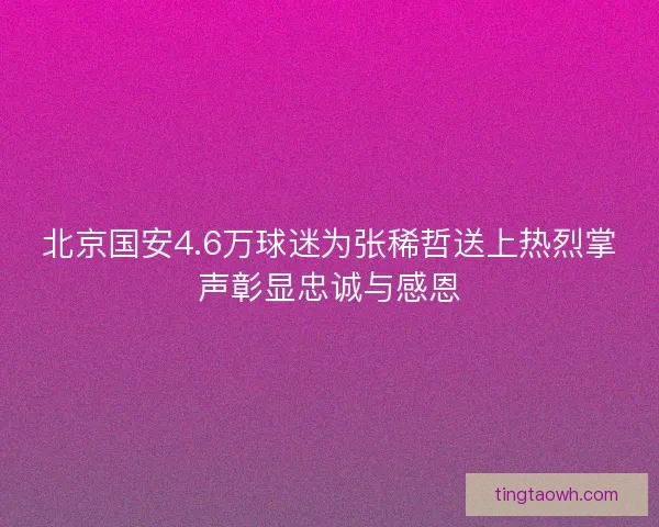 北京国安4.6万球迷为张稀哲送上热烈掌声彰显忠诚与感恩 北京国安4.6万球迷为张稀哲送上热烈掌声彰显忠诚与感恩